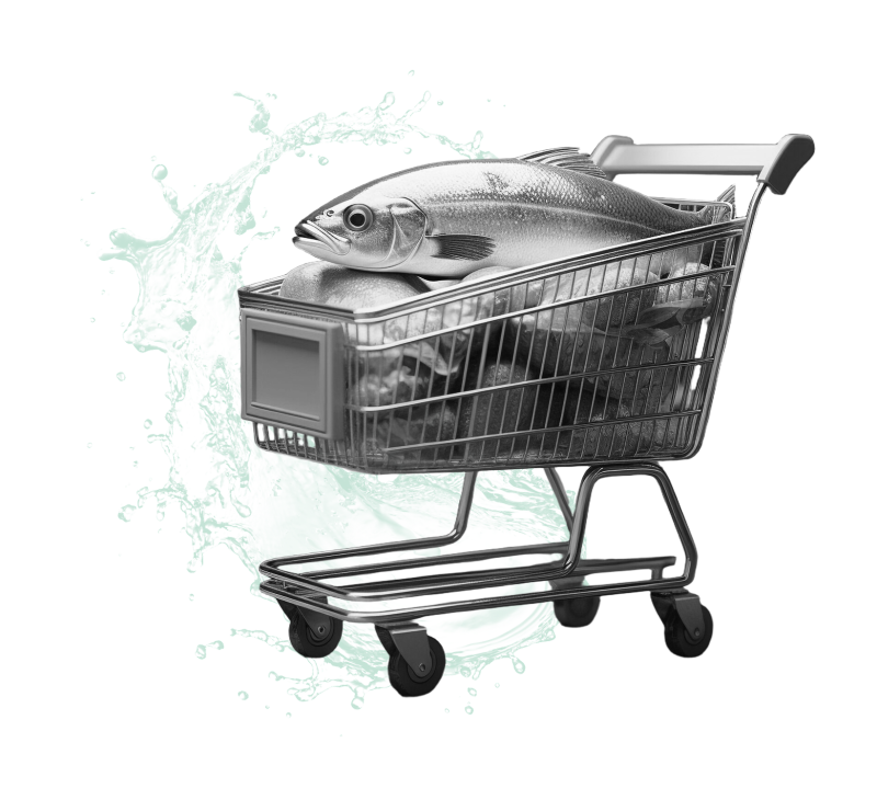 Ryby v nákupním košíku