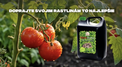 Ukázka brandového propagačního videa