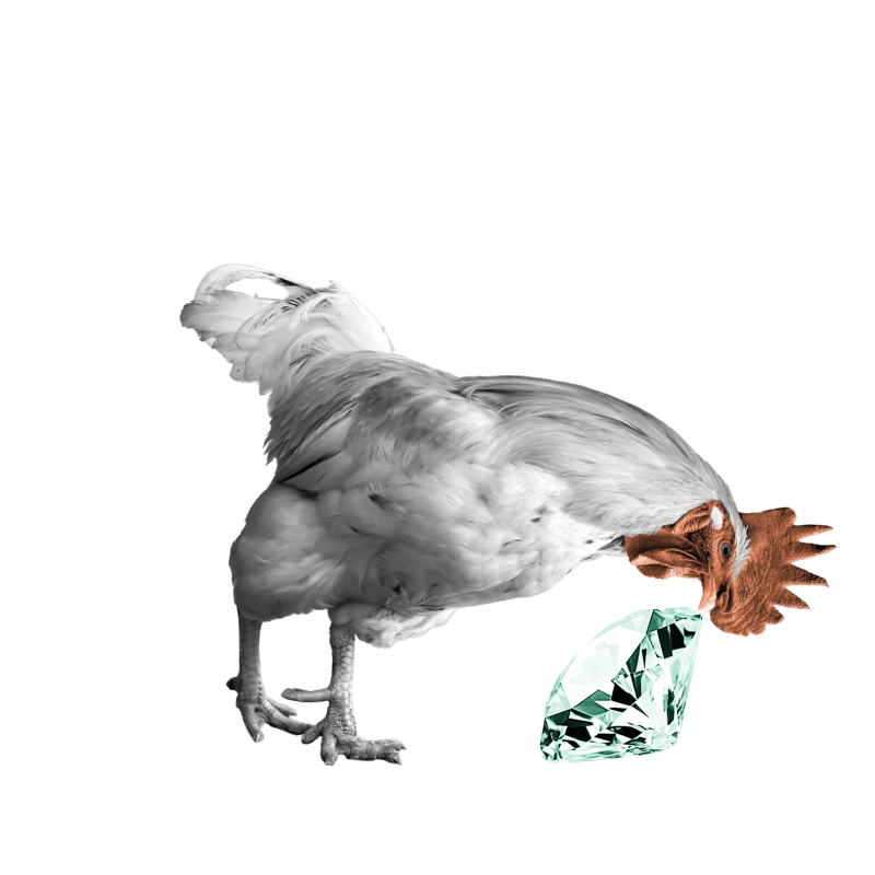 Kohout klovající do diamantu