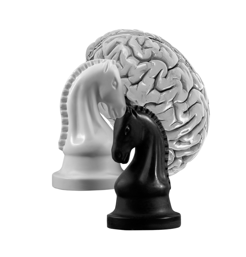 Šachové figurky a mozek